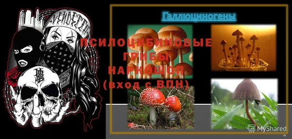 тгк Алексин
